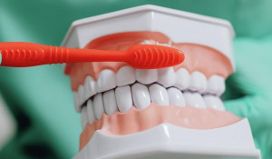 Dental insurance - You can make it work for you